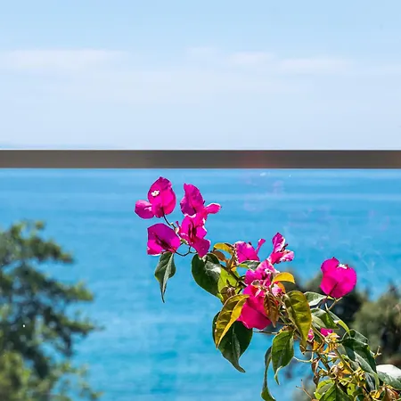 公寓式酒店 Upartments